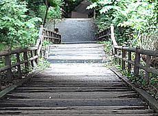 Lana-Peace　金沢自然公園（横浜市）