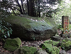 Lana-Peace　来宮神社