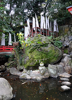 Lana-Peace　来宮神社