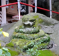 Lana-Peace　来宮神社