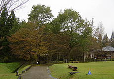 那須高原