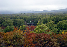 那須高原